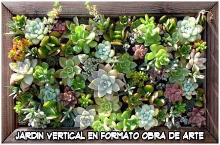 Cómo hacer un jardín vertical  Primera parte