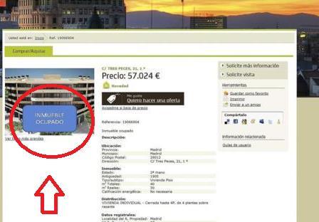 Casas con bicho Casas con bicho