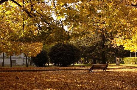 ME AFERRO A LAS HOJAS DE LOS TILOS (HOMENAJE A MI NIÑEZ Y JUVENTUD EN LA PLATA). ANA MARÍA MANCEDA ME AFERRO A LAS HOJAS DE LOS TILOS (HOMENAJE A MI NIÑEZ Y JUVENTUD EN LA PLATA). ANA MARÍA MANCEDA