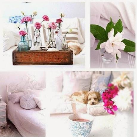 Entre flores frescas. . . Entre flores frescas. . .