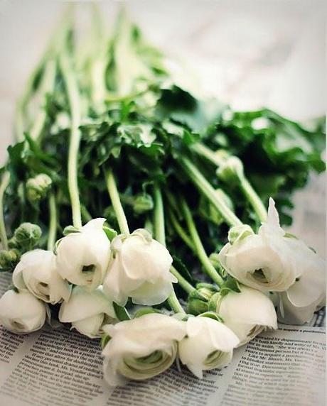 Entre flores frescas. . . Entre flores frescas. . .