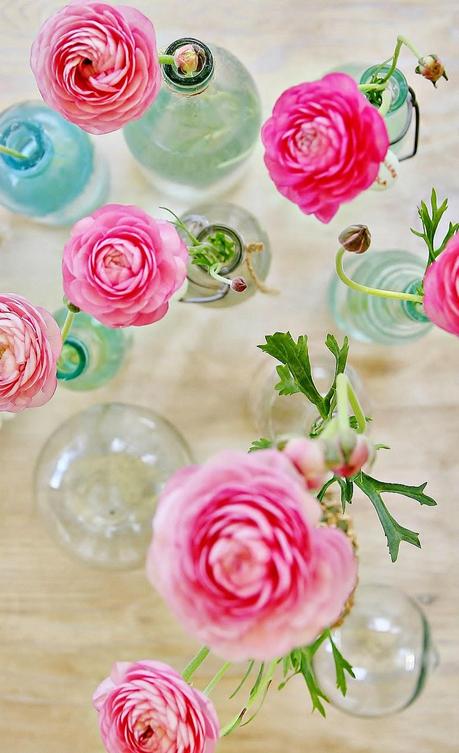 Entre flores frescas. . . Entre flores frescas. . .