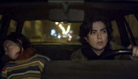 BAFICI 2014: Nuestras recomendaciones parte 1 ciencias-naturaleas