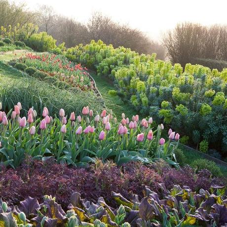 Pregunte a los expertos: 10 consejos de Sara Cuervo para Cultivar un jardín de cocina en Gardenista