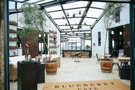 Blueberry Café | Gardenista