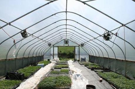 Sostenibilidad de agricultura · Sostenibilidad a Medida Sostenibilidad del modelo agrícola de almería