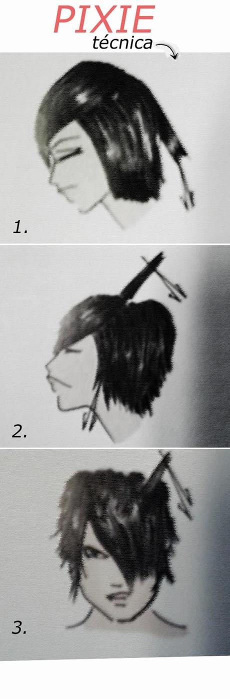 El corte PIXIE El corte PIXIE