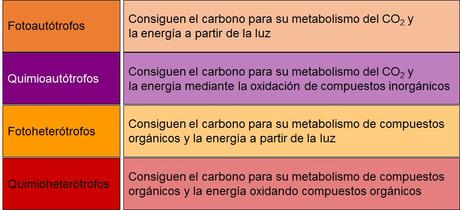 Características generales de los seres vivos: el nivel celular