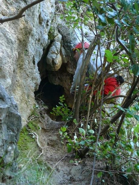 Limpieza de una cavidad en Villacarrillo Limpieza de una cavidad en Villacarrillo
