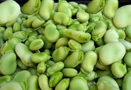 Guisantes y habas frescas: ¡proteínas, vitaminas y minerales en cantidad! habass Guisantes y habas frescas: ¡proteínas, vitaminas y minerales en cantidad!