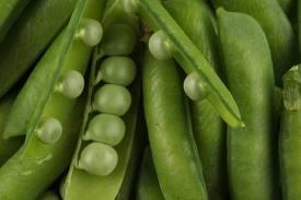 Guisantes y habas frescas: ¡proteínas, vitaminas y minerales en cantidad! habas Guisantes y habas frescas: ¡proteínas, vitaminas y minerales en cantidad!