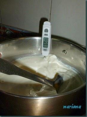 queso fresco5 copia queso fresco5 copia