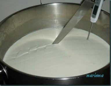 queso fresco16 copia queso fresco16 copia