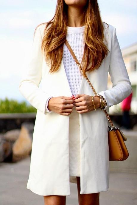 Pureness with IvyRevel Pureness with IvyRevel