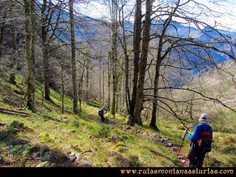 Ruta Pico Vízcares: Entrando en el bosque de camino a la majada Degoes Ruta Pico Vízcares: Entrando en el bosque de camino a la majada Degoes