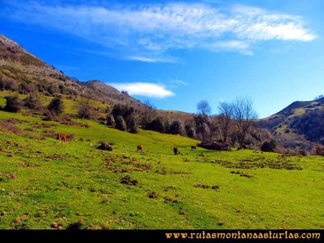 Ruta Pico Vízcares: Majada Cureñu Ruta Pico Vízcares: Majada Cureñu