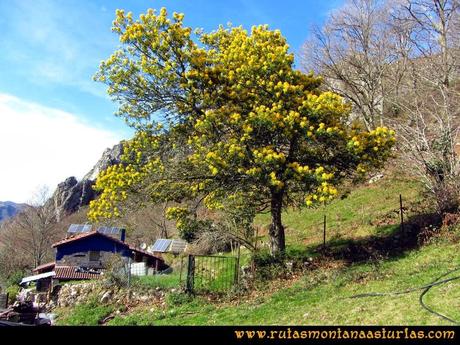Ruta Pico Vízcares: Cabaña en la majada Degoes Ruta Pico Vízcares: Cabaña en la majada Degoes
