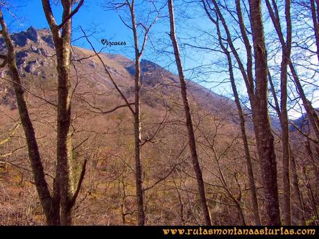 Ruta Pico Vízcares: Vista del Vízcares desde la zona de Muñizón Ruta Pico Vízcares: Vista del Vízcares desde la zona de Muñizón