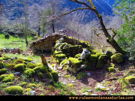 Ruta Pico Vízcares: Cabaña al final del bosque de camno a la majada Degoes Ruta Pico Vízcares: Cabaña al final del bosque de camno a la majada Degoes