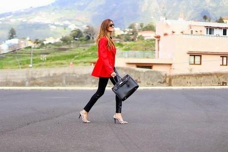 Red, leather & leopard Red, leather & leopard