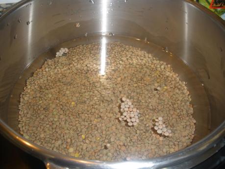 Lentejas fáciles Lentejas fáciles