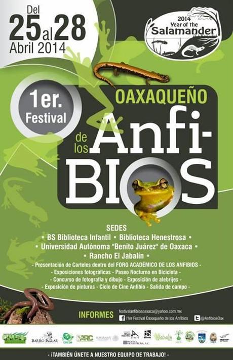 1er Festival Oaxaqueño de los Anfibios (Oaxaca, México)
