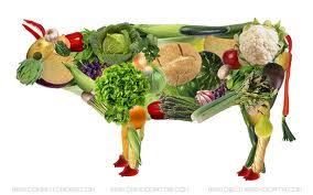 vegetales1 Aminoácidos y proteínas verdes “sin carne” (para vegetarianos o no...)