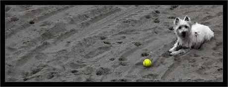 El Principio de Premack El Principio de Premack