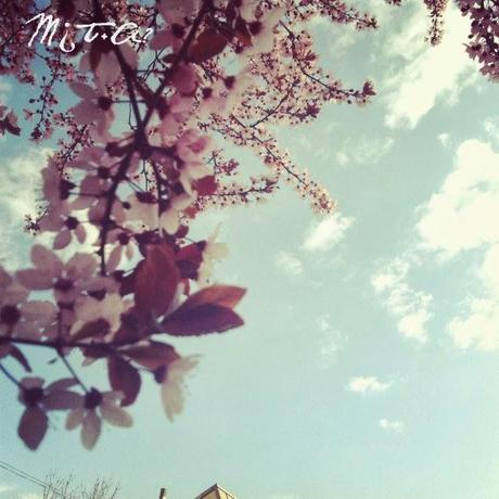 Paseo 2: Busco inspiración Paseo 2: Busco inspiración