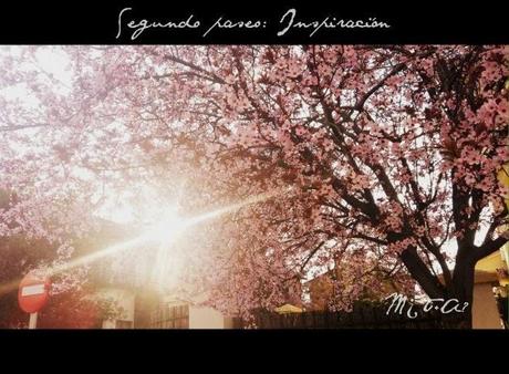 Paseo 2: Busco inspiración Paseo 2: Busco inspiración