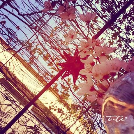 Paseo 2: Busco inspiración Paseo 2: Busco inspiración