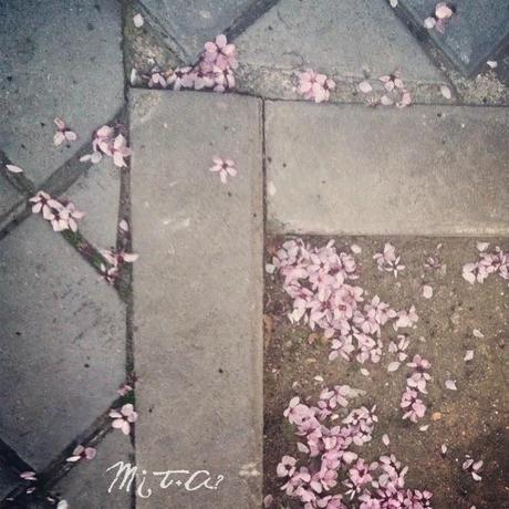 Paseo 2: Busco inspiración Paseo 2: Busco inspiración