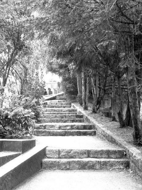 Paris en Blanco y Negro Paris en Blanco y Negro