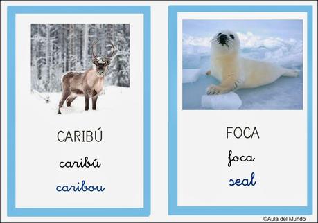 Artic vocabulary Artic vocabulary