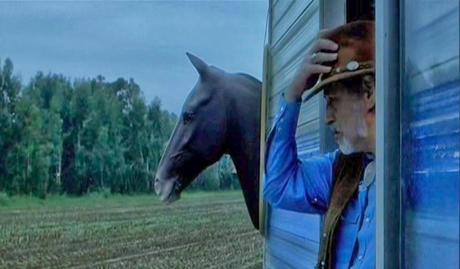 L'Amico di Famiglia - 2006 L'Amico di Famiglia - 2006