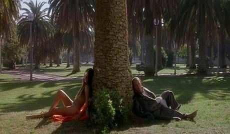 L'Amico di Famiglia - 2006 L'Amico di Famiglia - 2006