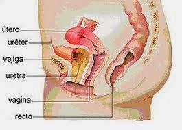 Infección urinaria mujeres