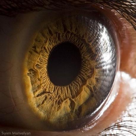 7 cosas que no sabías sobre los ojos y la vista