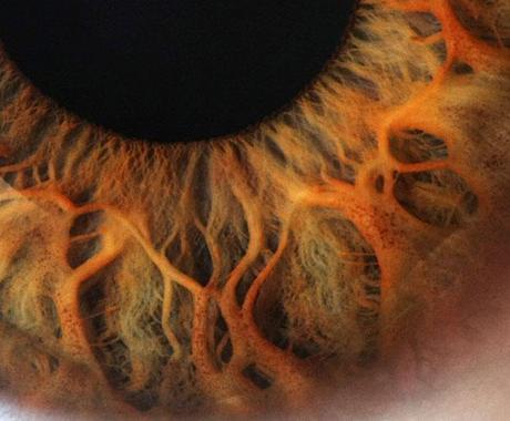 7 cosas que no sabías sobre los ojos y la vista