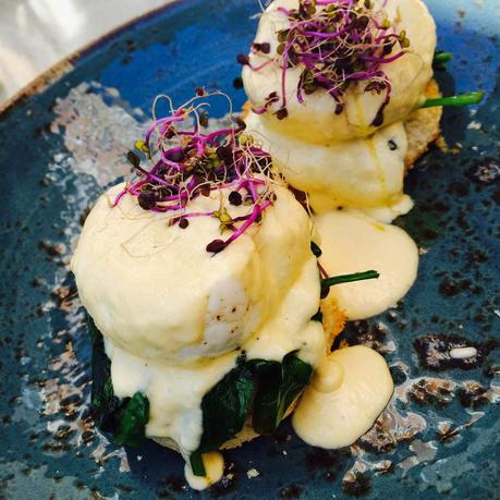 Brunch en Pipa&co Brunch en Pipa&co