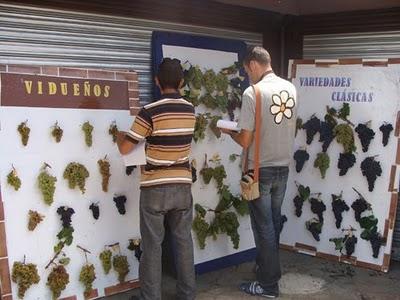 Consumo local en los Mercadillos del Agricultor Consumo local en los Mercadillos del Agricultor