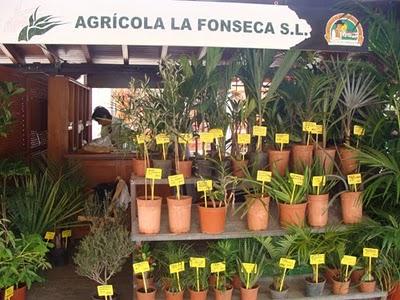 Consumo local en los Mercadillos del Agricultor Consumo local en los Mercadillos del Agricultor