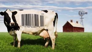 comida COMEMOS COMO VIVIMOS