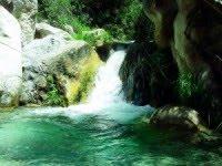 Un exótico viaje por los ríos de la Axarquía Un exótico viaje por los ríos de la Axarquía