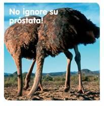 Si eres varón, no escondas la cabeza… Si eres varón, no escondas la cabeza…