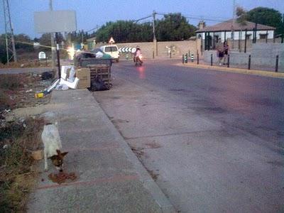 3º LLAMAMIENTO ESTA QUE YA CASI NO PUEDE MAS... 3º LLAMAMIENTO ESTA QUE YA CASI NO PUEDE MAS...