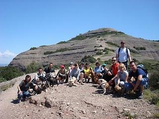 Senderismo con perros Senderismo con perros