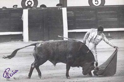 COMUNIÓN COMUNIÓN