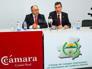 La gestión sanitaria en el ámbito cinegético, a debate en la Cámara La gestión sanitaria en el ámbito cinegético, a debate en la Cámara