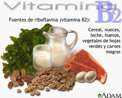 Riboflavina o vitamina B2, la vitamina de la energía